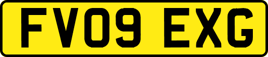 FV09EXG