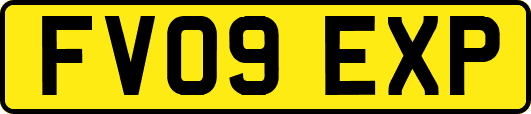 FV09EXP