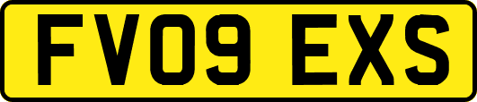 FV09EXS