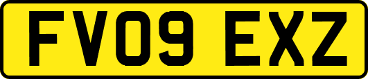 FV09EXZ