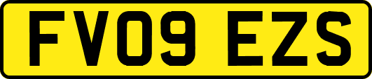 FV09EZS