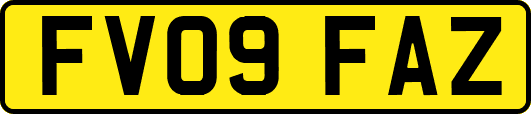 FV09FAZ