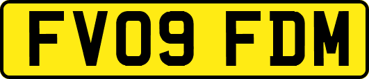 FV09FDM