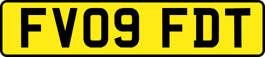 FV09FDT