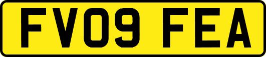 FV09FEA