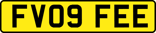 FV09FEE