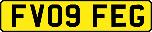 FV09FEG
