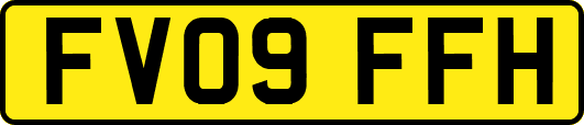 FV09FFH
