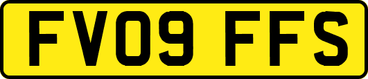 FV09FFS