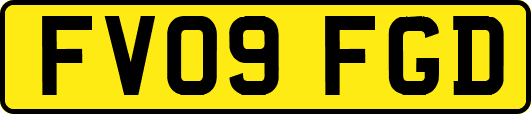 FV09FGD