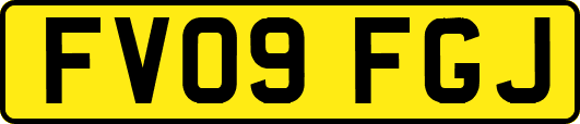 FV09FGJ