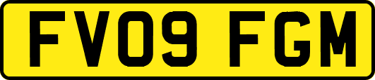 FV09FGM