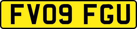FV09FGU