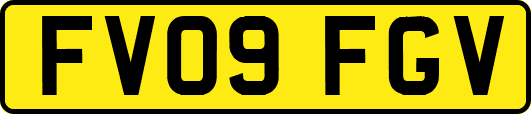FV09FGV