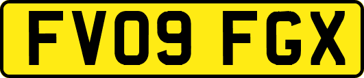 FV09FGX