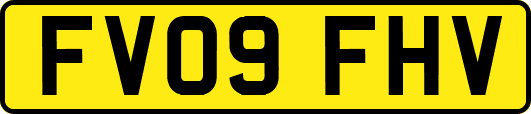 FV09FHV