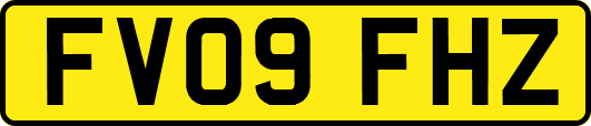 FV09FHZ