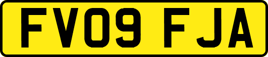 FV09FJA