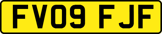 FV09FJF