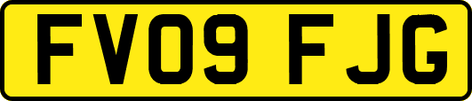 FV09FJG