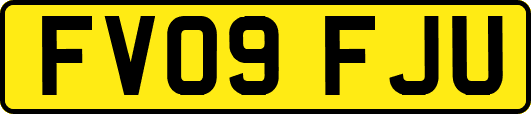 FV09FJU