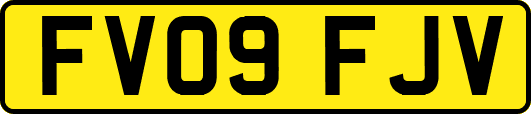 FV09FJV