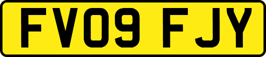 FV09FJY