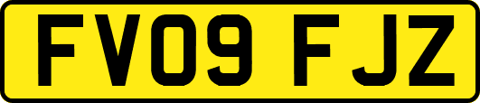 FV09FJZ