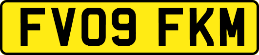 FV09FKM