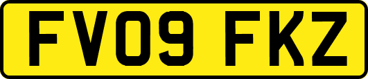FV09FKZ