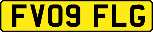 FV09FLG