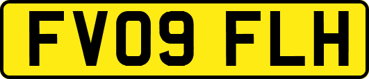 FV09FLH