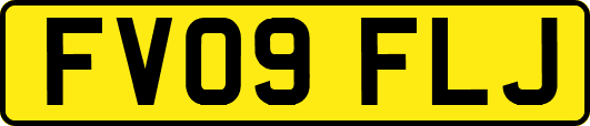 FV09FLJ