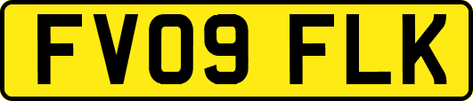 FV09FLK