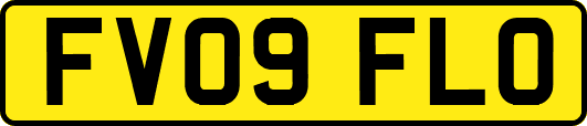 FV09FLO