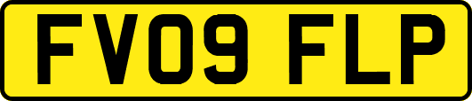 FV09FLP