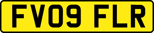 FV09FLR