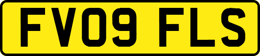 FV09FLS