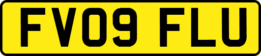 FV09FLU