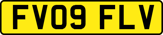FV09FLV