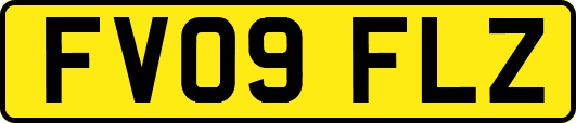 FV09FLZ