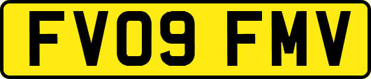 FV09FMV