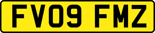 FV09FMZ