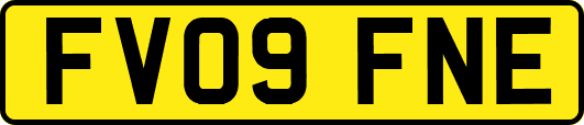 FV09FNE