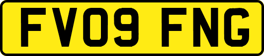 FV09FNG