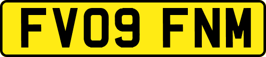 FV09FNM