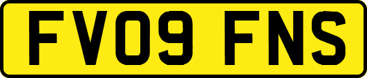 FV09FNS