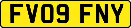 FV09FNY