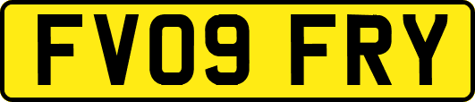 FV09FRY