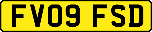 FV09FSD
